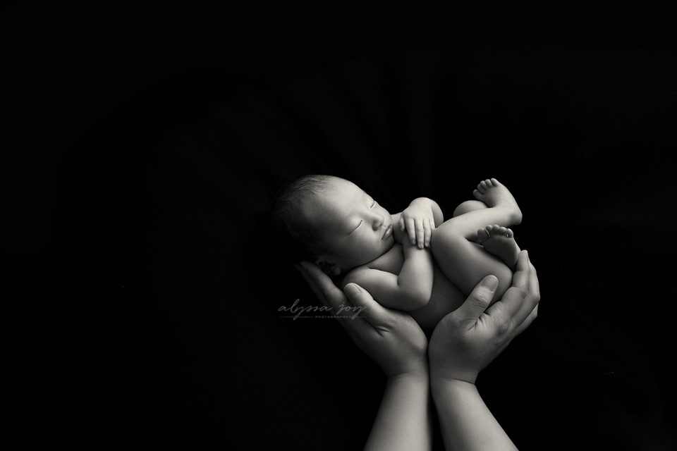 black and white photo showing newborn baby held in parents hands.