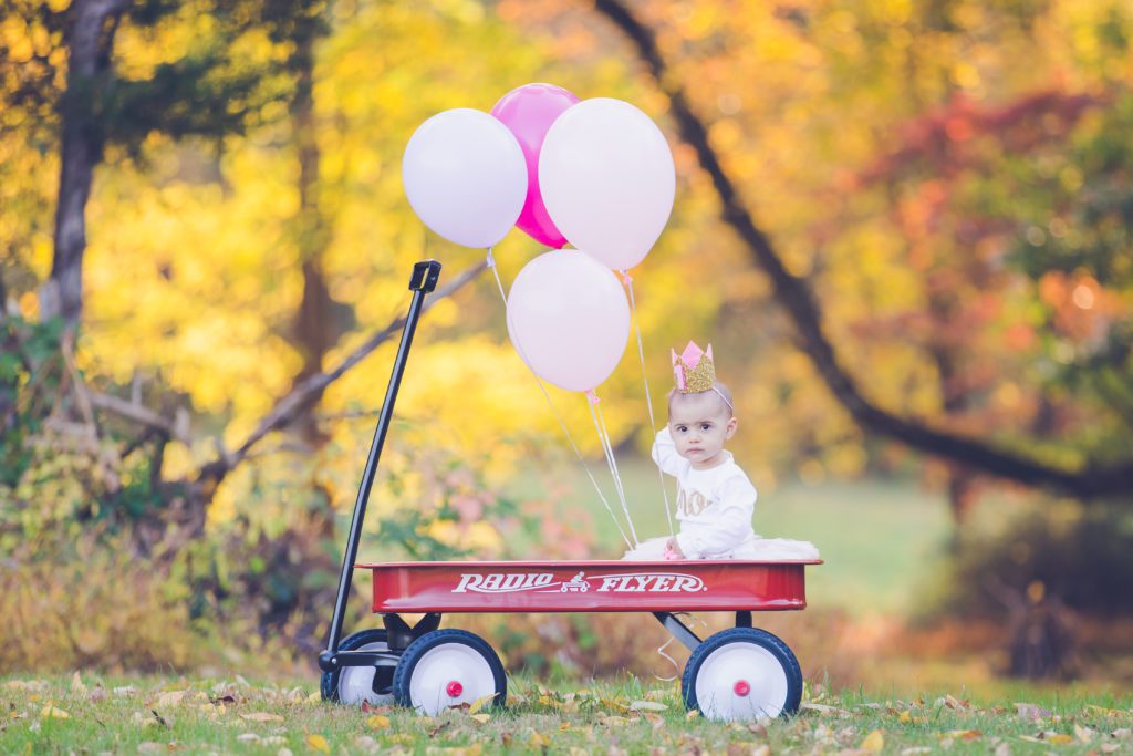 photo of one year old girl sitting in radio flyer with pink balloons and birthday crown in park in November